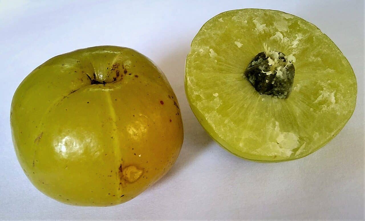 A whole Amla fruit and its cross-section
