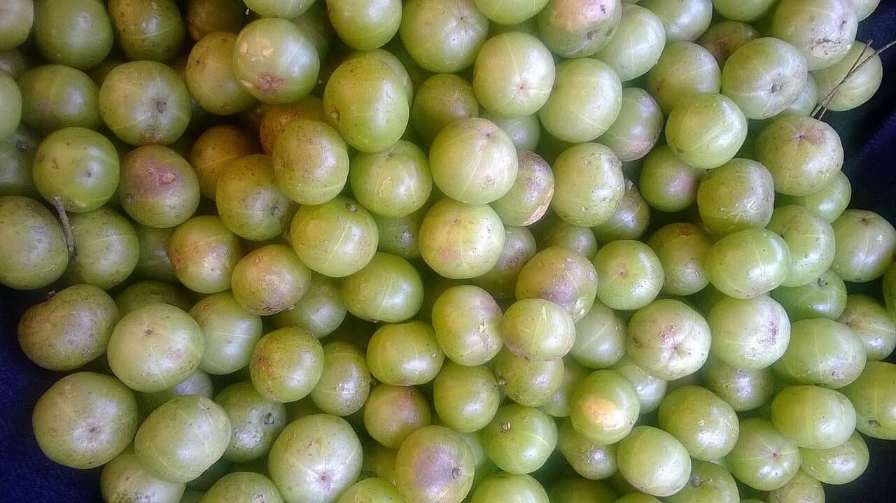 Fresh Amla (Indian gooseberry) fruits